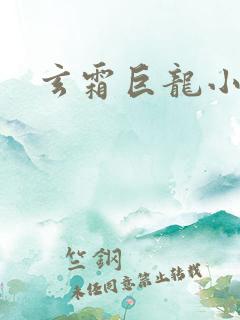 玄霜巨龙小说
