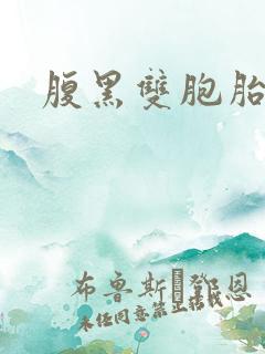 腹黑双胞胎