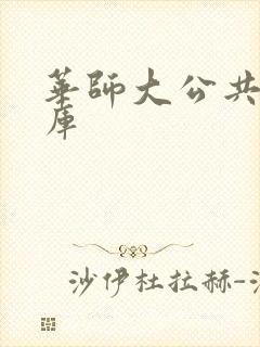华师大公共数据库