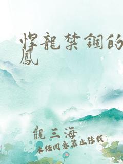 悍龙禁锢的小野凤