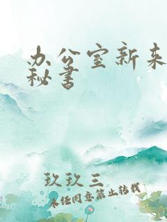办公室新来的女秘书