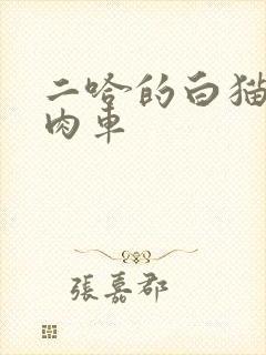 二哈的白猫师尊肉车