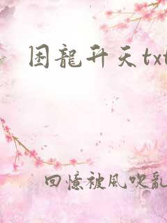 困龙升天txt