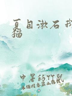 夏目漱石 我是猫