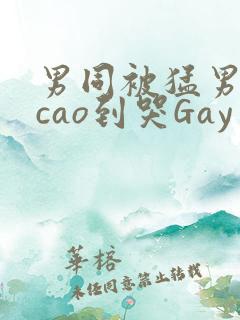 男同被猛男房东cao到哭Gay