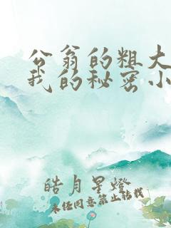 公翁的粗大放进我的秘密小说