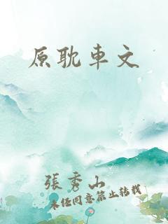 原耽车文