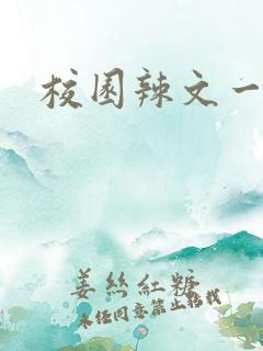 校园辣文一对一