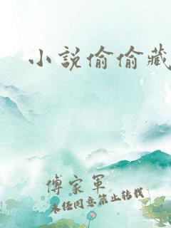 小说偷偷藏不住