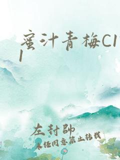 蜜汁青梅C1V1