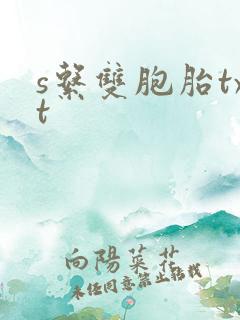 s系双胞胎txt