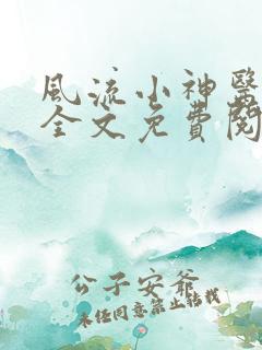 风流小神医小说全文免费阅读