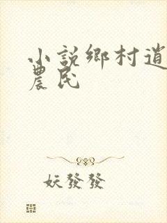 小说乡村逍遥小农民