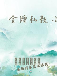 金牌私教 小说