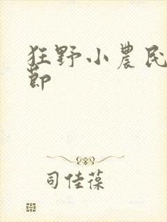 狂野小农民无删节