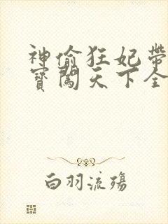 神偷狂妃带着宝宝闯天下全文免费阅读