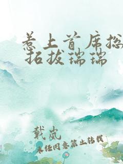 惹上首席总裁1 拓拔瑞瑞