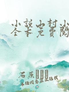 小说山村小农民全本免费阅读