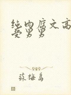 纯肉腐文高H总受男男