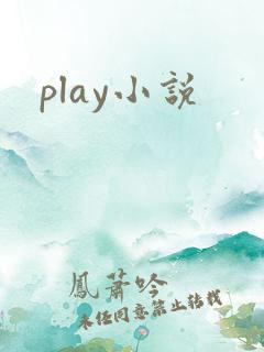 play小说