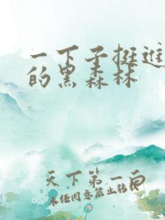 一下子挺进浓密的黑森林