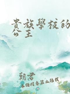 贵族学校的双面公主
