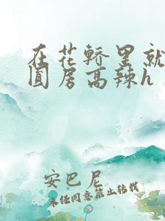 在花轿里就开始圆房高辣h
