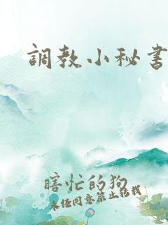 调教小秘书