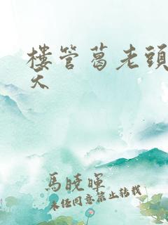 楼管葛老头的春天