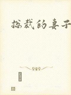总裁的妻子