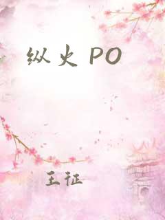 纵火 PO