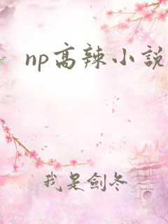 np高辣小说