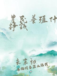 农民养殖什么能挣钱
