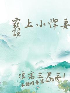 霸上小悍妻 小说