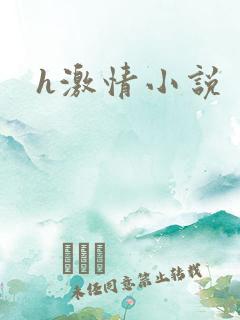 h激情小说