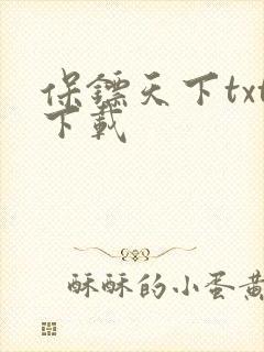 保镖天下txt下载