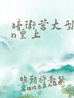 暗卫营大型hpn皇上