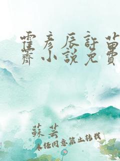 霍彦辰许苗林初霁小说免费