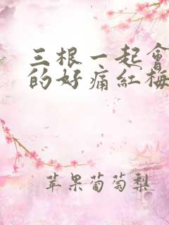 三根一起会坏掉的好痛红梅