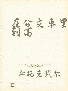 在公交车里c弄到高