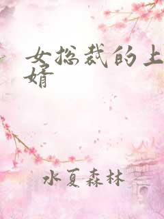 女总裁的上门女婿