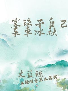 塞珠子自己排出来车冰秋