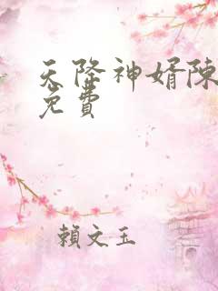 天降神婿陈黄皮免费