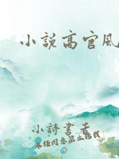 小说高官风流