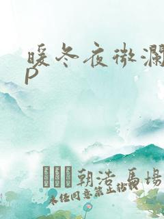 暖冬夜微澜VIP