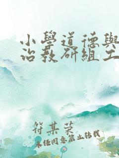 小学道德与与法治教研组工作总结