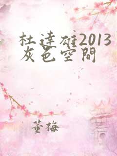 杜达雄2013灰色空间