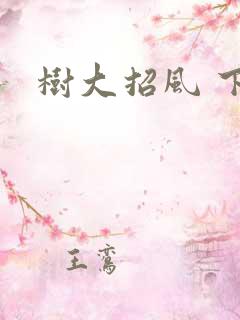 树大招风 下载