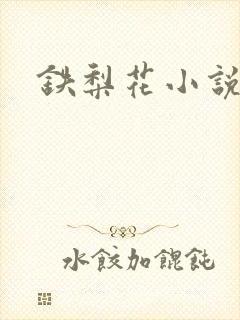 铁梨花小说