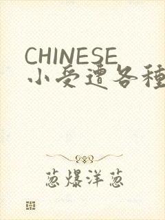 CHINESE小受遭各种打桩